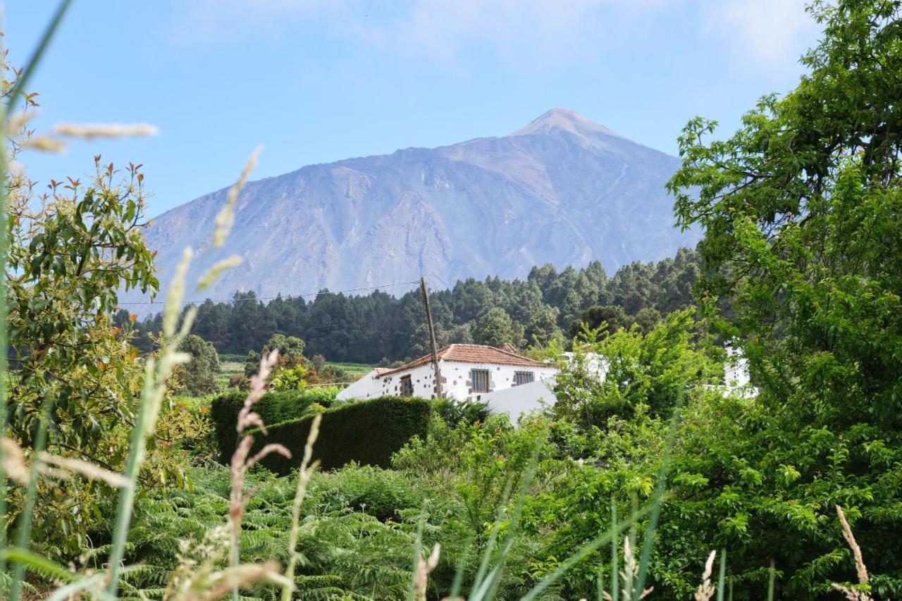 Casa Rural Felipe Luis San Juan de la Rambla Exteriör bild